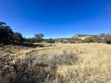 TBD Cactus Park Road - Photo 13