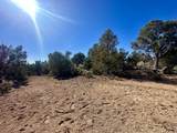 TBD Cactus Park Road - Photo 17