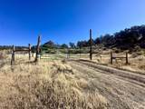 TBD Cactus Park Road - Photo 3