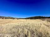 TBD Cactus Park Road - Photo 4