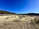TBD Cactus Park Road - Photo 5