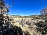 TBD Cactus Park Road - Photo 6