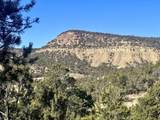 TBD Cactus Park Road - Photo 8