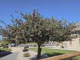 335 Cobblestone Court - Photo 14