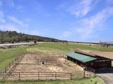 1190 7745 Road - Photo 36