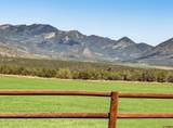 1190 7745 Road - Photo 40