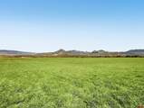 1190 7745 Road - Photo 41