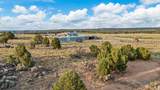 479 16 1/2 Road - Photo 39