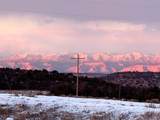 479 16 1/2 Road - Photo 41