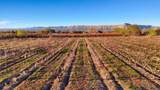 3280 B 1/2 Road - Photo 35