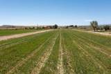 857 R Road - Photo 4