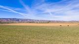 TBD 20 Road - Photo 13