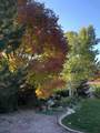 724 Wedge Drive - Photo 37