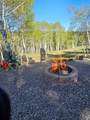1255 Spruce Road - Photo 14