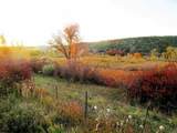 TBD Highway 330 - Photo 12