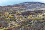 10822 60 3/4 Road - Photo 41