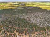 75800 B 76 Road B Road - Photo 18