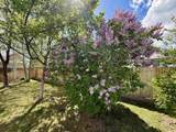 403 Pintail Avenue - Photo 10