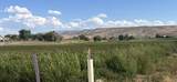 1664 8 Road - Photo 11