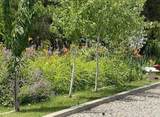 234 28 1/2 Road - Photo 17