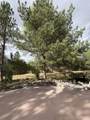 679 Stepaside Drive - Photo 32