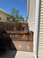 3139 Ute Canyon Lane - Photo 39