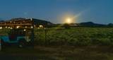 TBD T Road - Photo 11