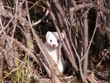 TBD Tbd - Photo 29