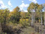 TBD Tbd - Photo 31