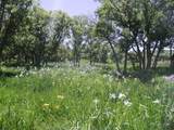 TBD Tbd - Photo 35