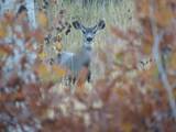 TBD Tbd - Photo 36