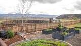 8877 County Road 320 - Photo 18