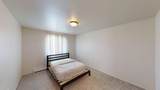 336 Catkin Street - Photo 19