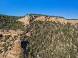 21900 Rough Canyon Road - Photo 11