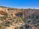 21900 Rough Canyon Road - Photo 16