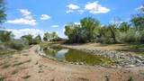 651 Peony Drive - Photo 30