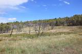 12705 55 Road - Photo 10