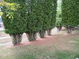 7 Rheims Court - Photo 22