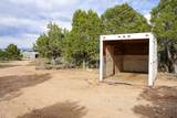61020 Tres Coyotes Trail - Photo 10