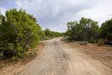 61020 Tres Coyotes Trail - Photo 12