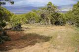 61020 Tres Coyotes Trail - Photo 7