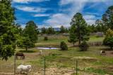 3460 Mariposa Drive - Photo 35