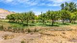 3462 F Road - Photo 34