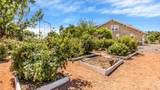 3462 F Road - Photo 35