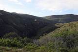 TBD Ms Road - Photo 6