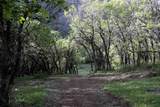 TBD Ms Road - Photo 7