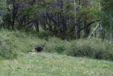 TBD Ms Road - Photo 8
