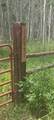 12951 Ms Road - Photo 16