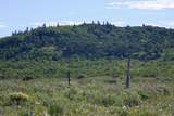 12951 Ms Road - Photo 4