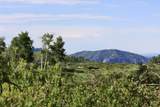 12951 Ms Road - Photo 5